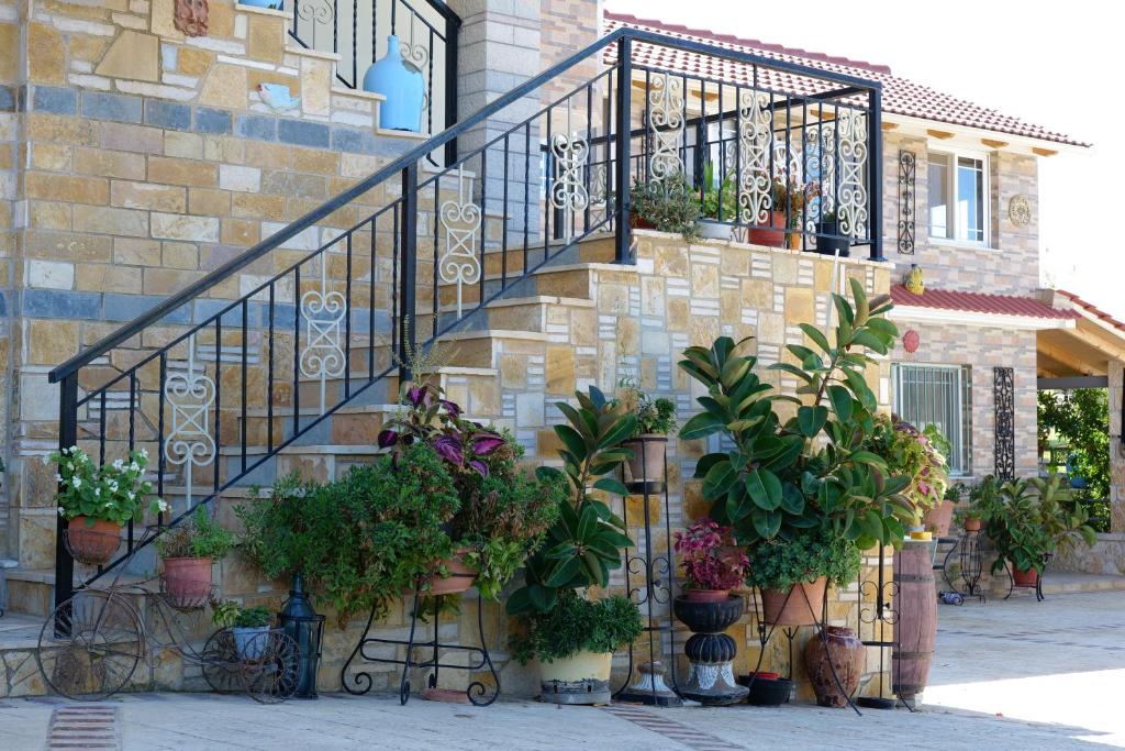 Villa Klea photo 1