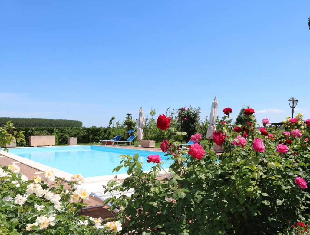 Millefiori la Corte delle Rose photo 4
