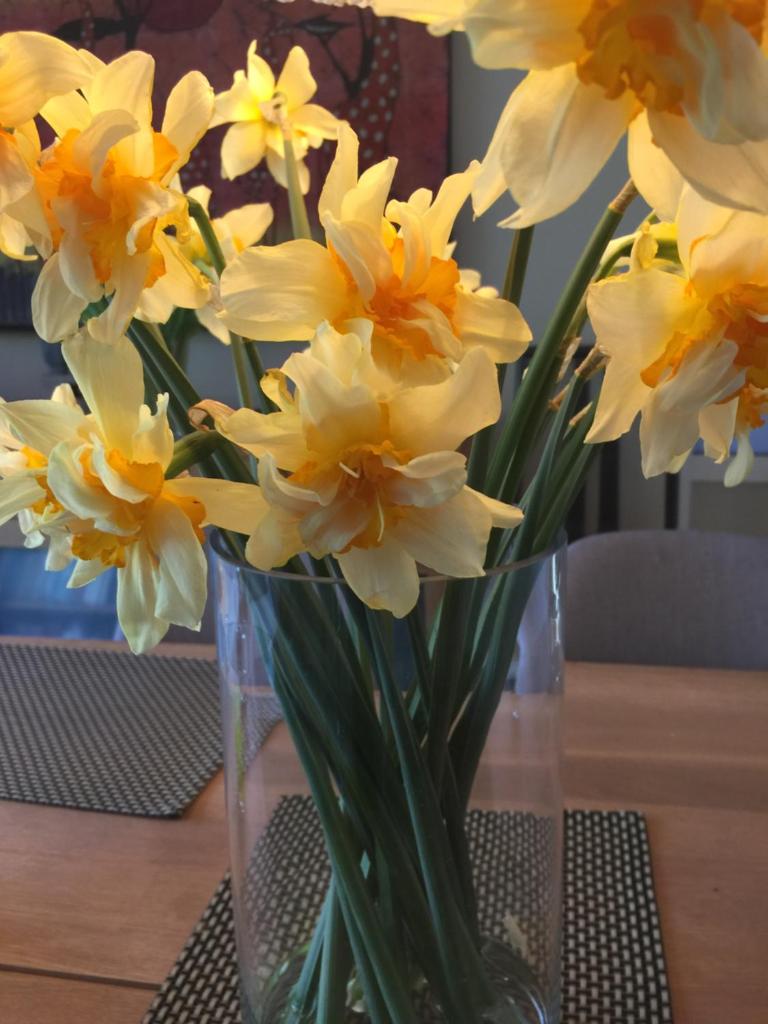 Flygarevägen photo 3