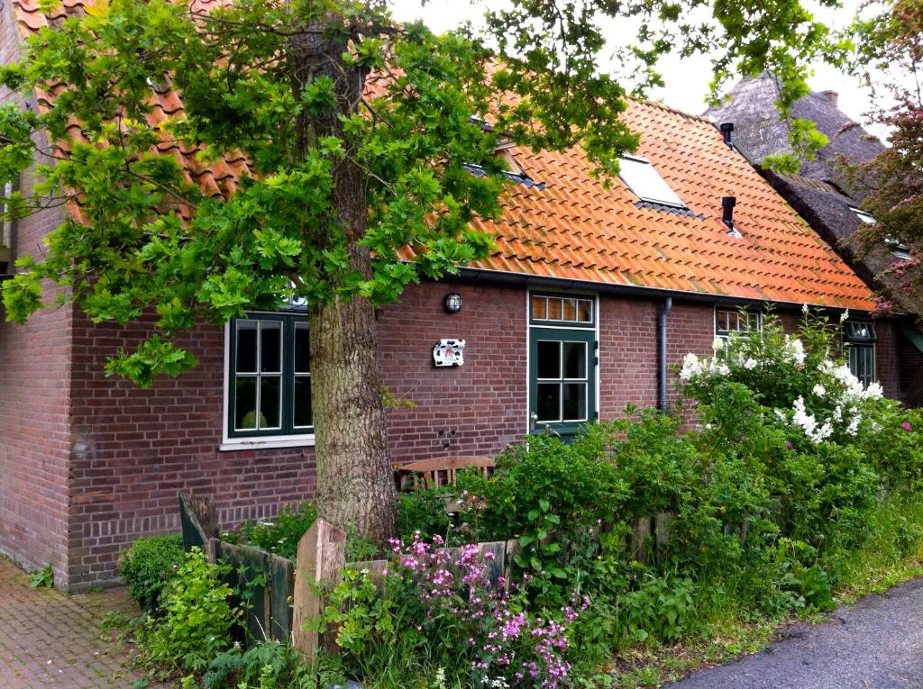 De Windroos | Atelier Aan Zee photo 3