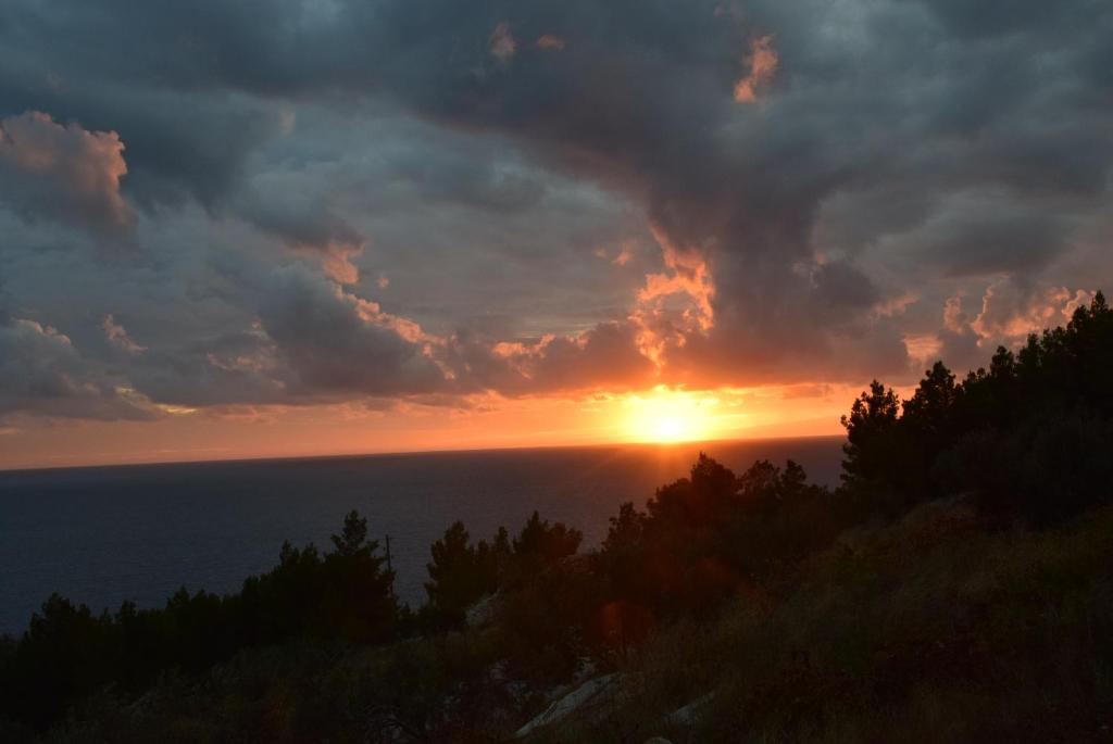 Holiday Home Babič photo 2
