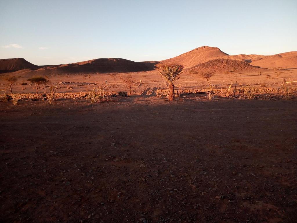 Auberge Camping Tafraoute Montagnes photo 2