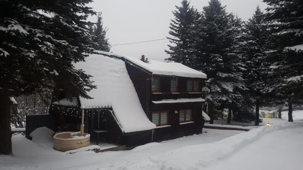 Oliwne Wzgórza photo 1