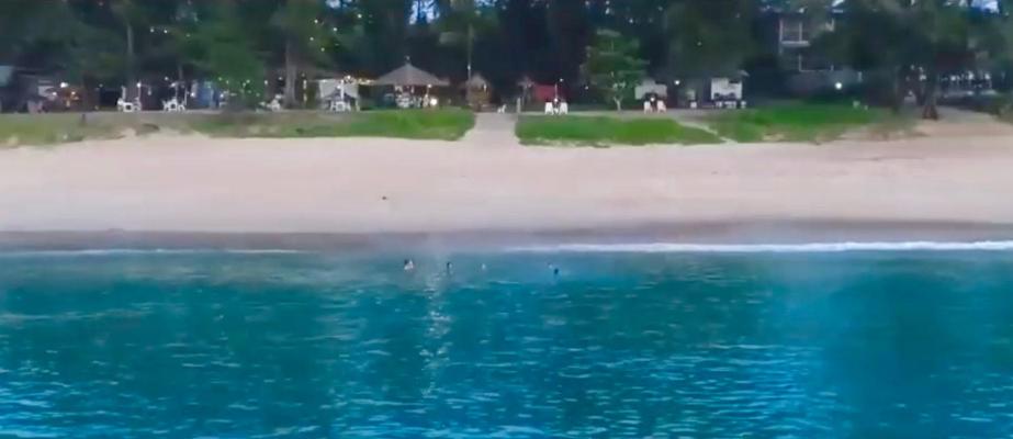 Micky Monkey Beach Hotel Phuket Maikhao Thailand photo 2