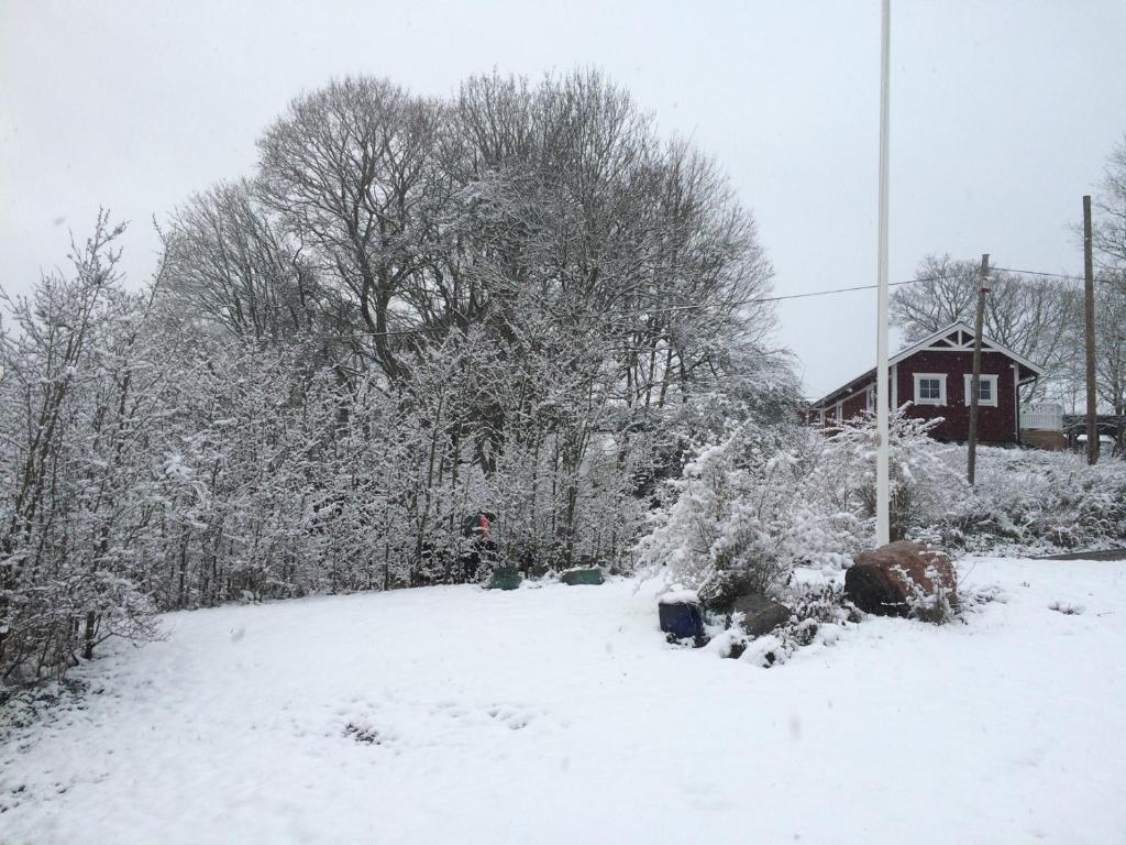 Bränntorps Gård photo 3