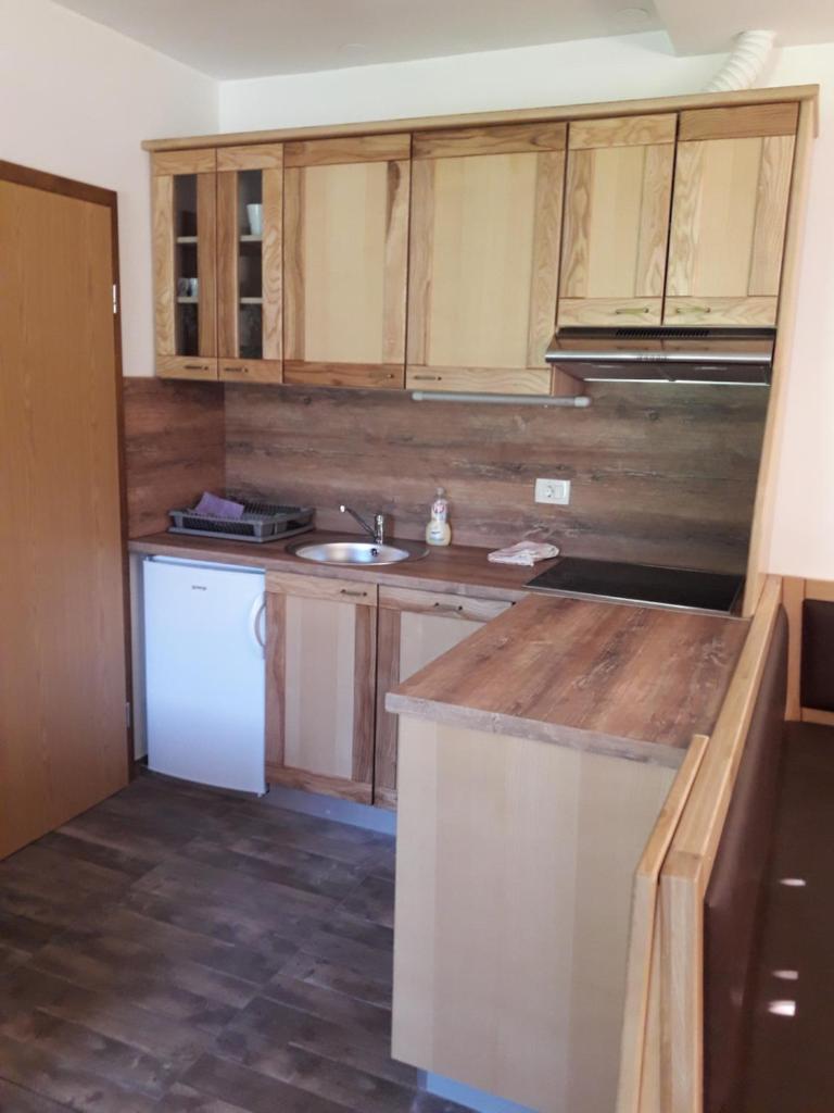Simnovi apartmaji - surrounded by nature photo 2
