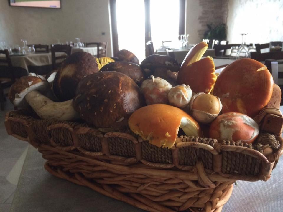 Agriturismo Terra Verde photo 1