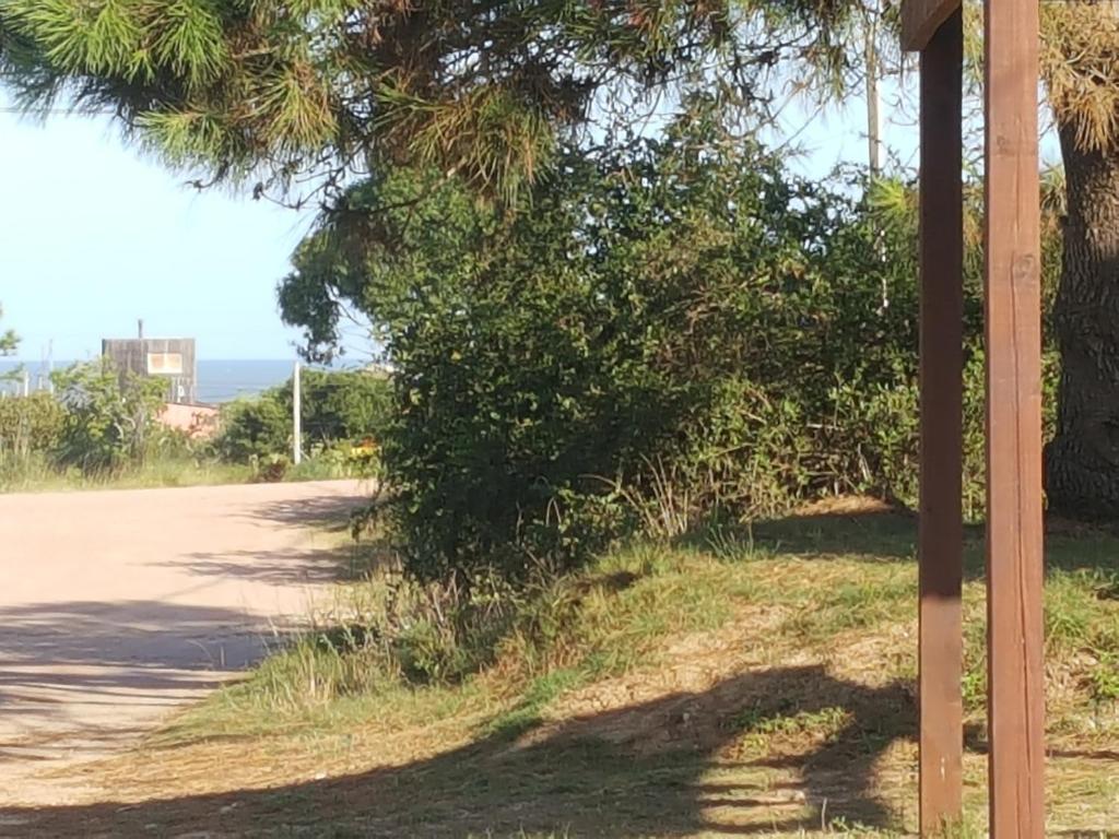 La Marujada photo 3