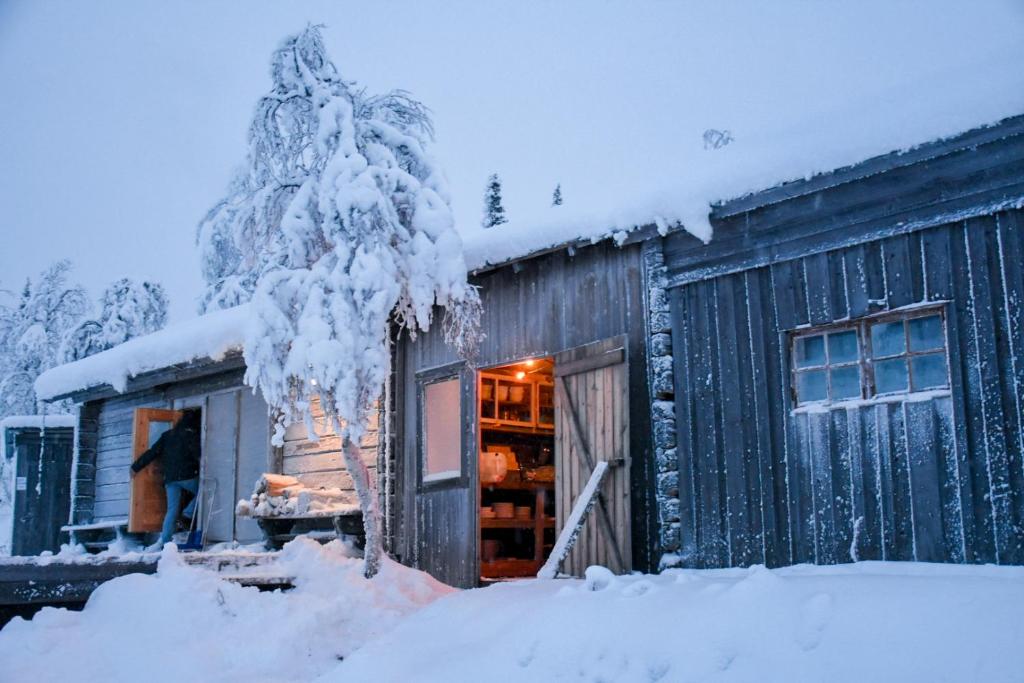 Arctic Paradise photo 4