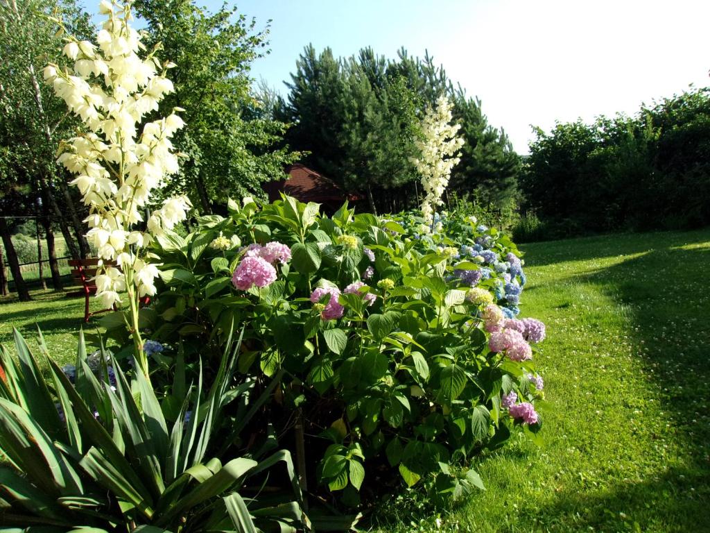 Agroturystyka u Basi photo 4