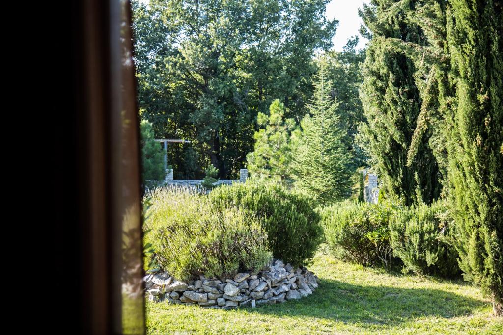 Villa Breg photo 2