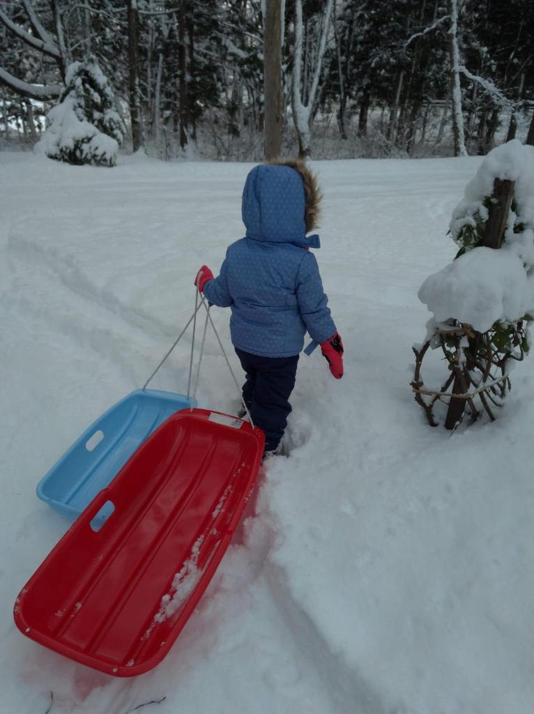 Hakuba Cottage Gram photo 4