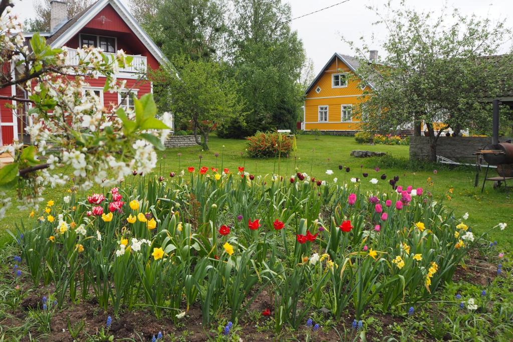 Leesi Külalistemaja photo 3