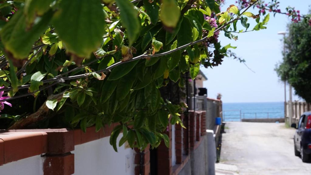 Le terrazze sulla spiaggia photo 1