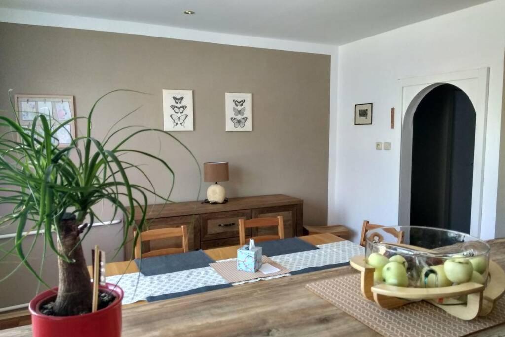 Apartmán se zahradou v Protivíně photo 2