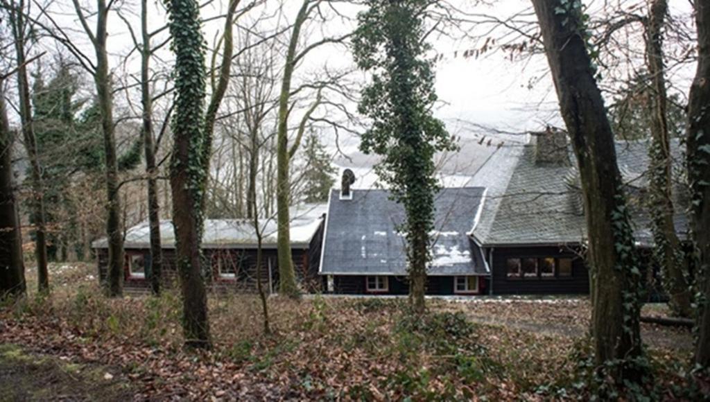 Waldhaus Anne photo 3