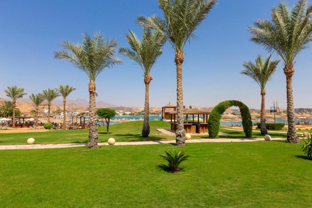 Xperience Golden Sandy Beach photo 3