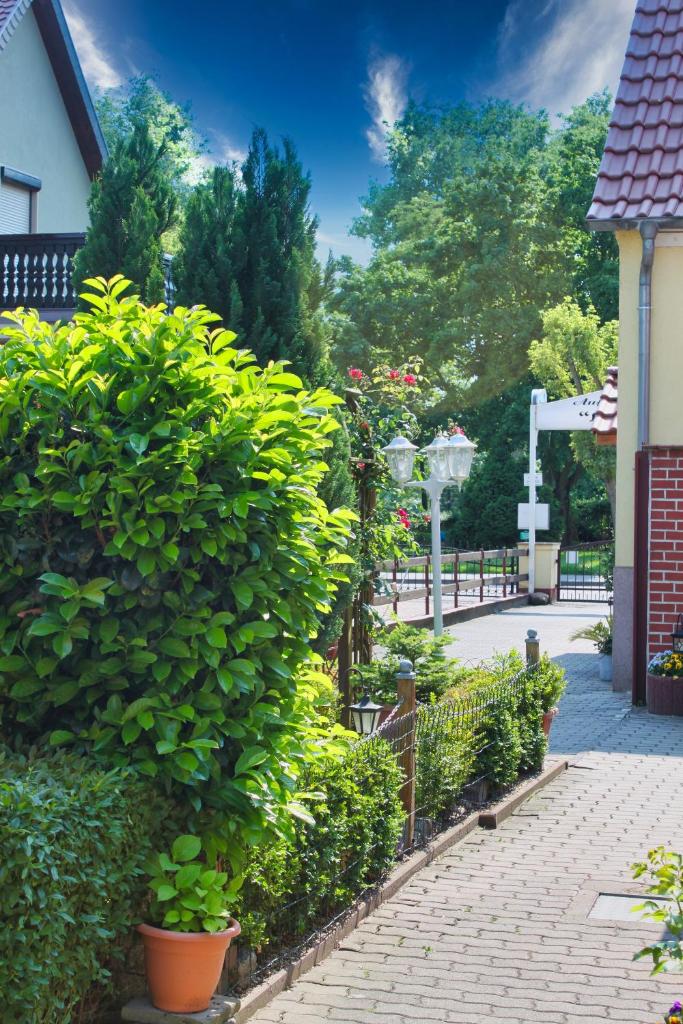 Pension Luisenhof photo 2