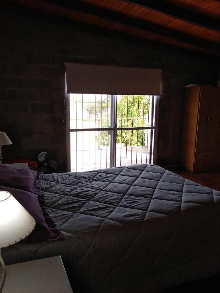 CASA NOSTRA photo 3