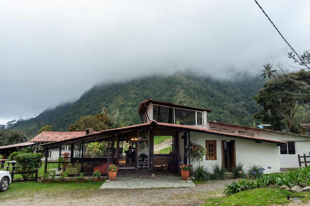 Palmas de Cocora photo 3