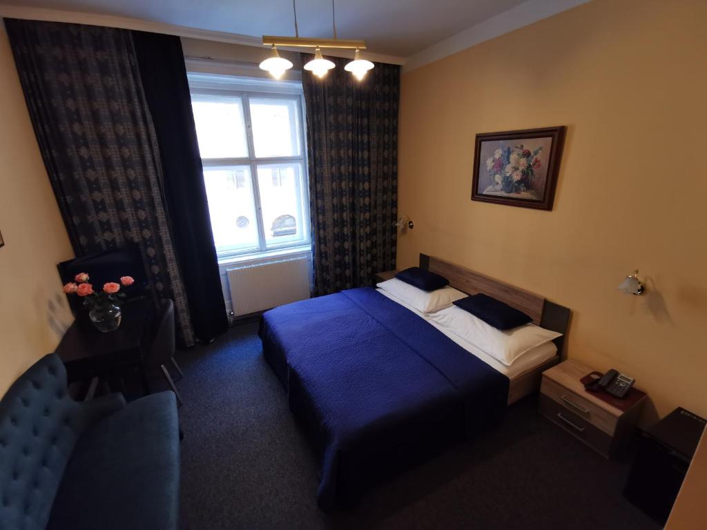 Двухместный (Классический двухместный номер с 1 кроватью), Hotel Bajazzo