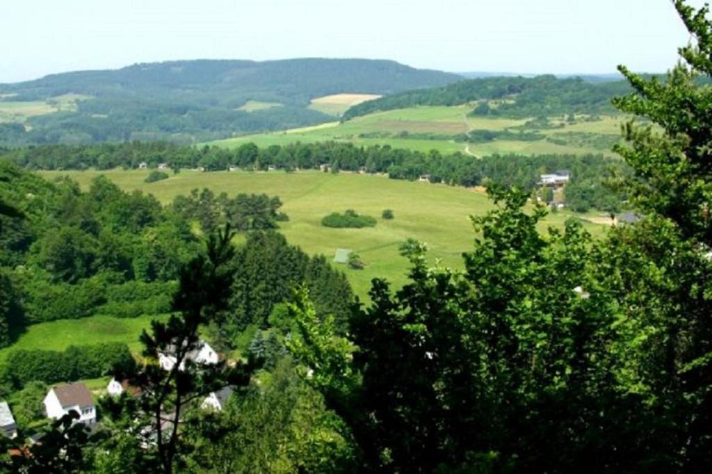 Vulkaneifel Type D photo 3