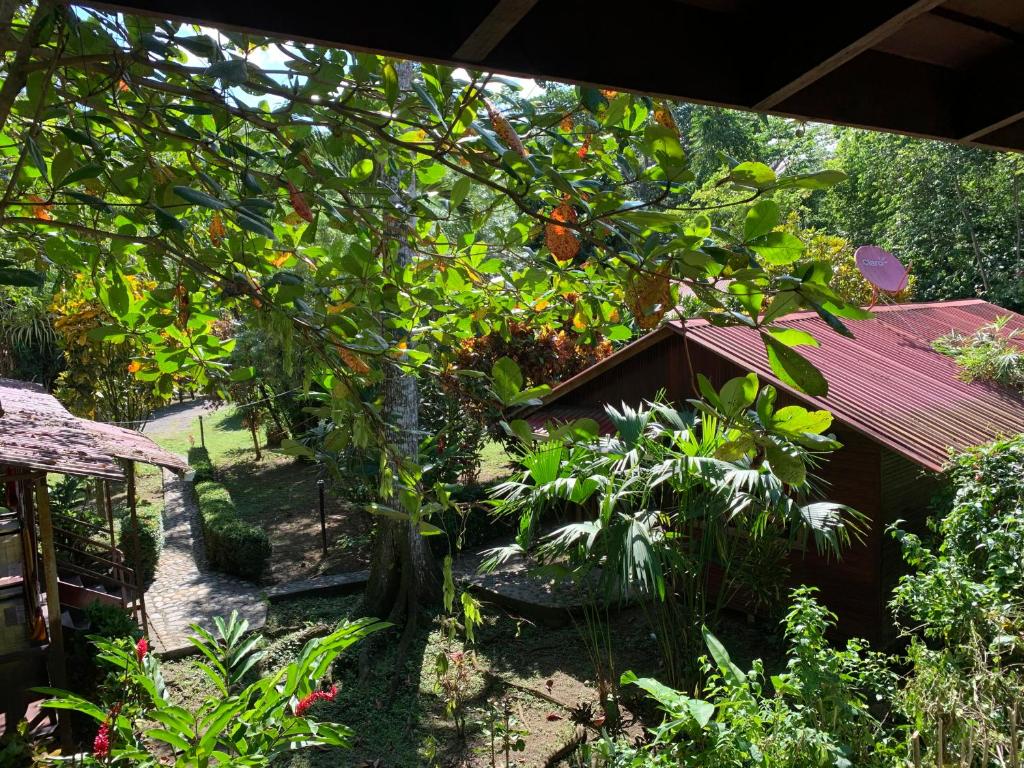 Cabinas Nirvana Ecolodge photo 2