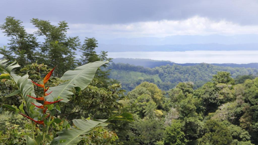 Finca Sueno de Osa
