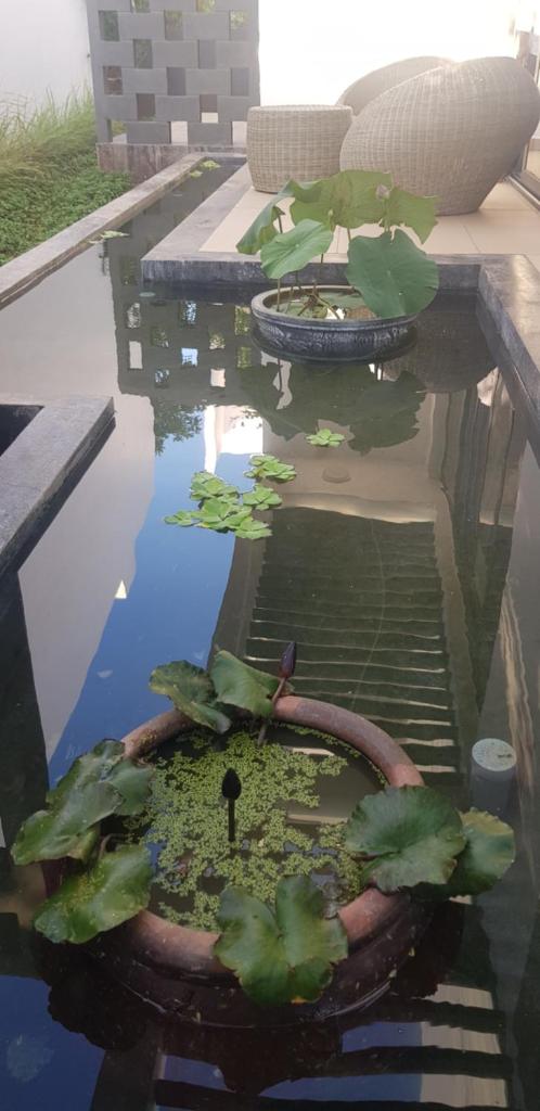 Oceanami Beach Club and Resort Long Hải