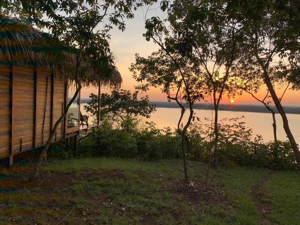 Alta Vista Amazon Lodge photo 3