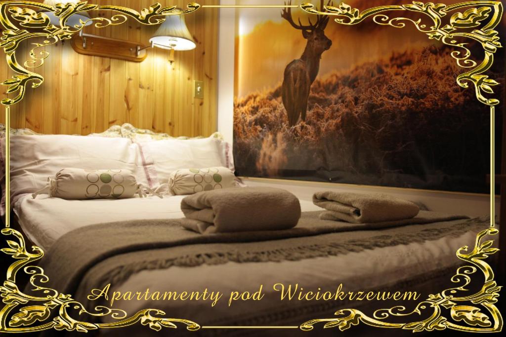 Apartamenty pod Wiciokrzewem photo 4