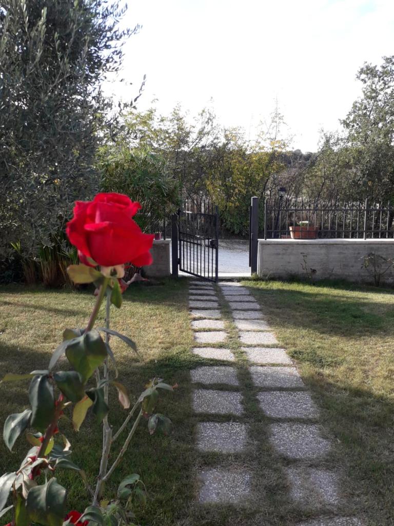Residence Ai Campi Da Golf Saturnia photo 3