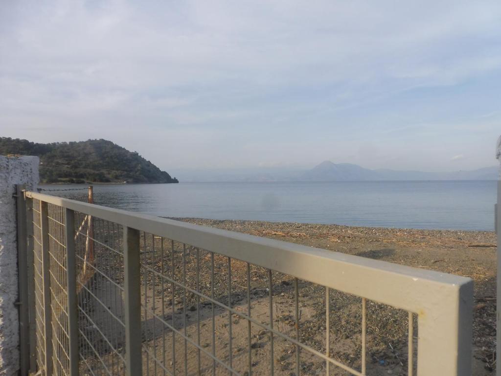 Palm tree house by the beach photo 3