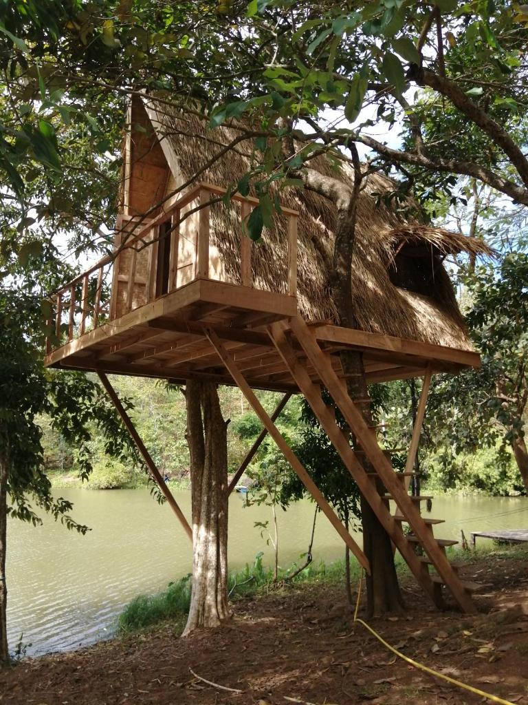 Fandee Island - Tad Lo Bolaven Loop Pakse - ດອນຝັນດີ photo 1