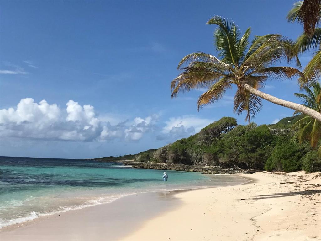 Location LAGON Marie-Galante photo 2