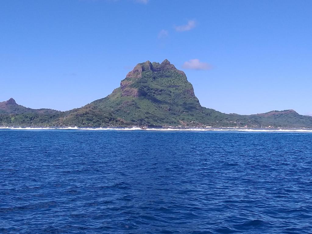 Toa Lodge Bora Bora photo 1