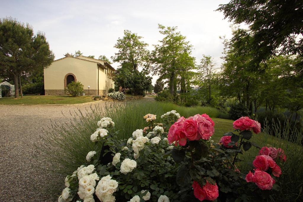 Il Rosolaccio photo 4