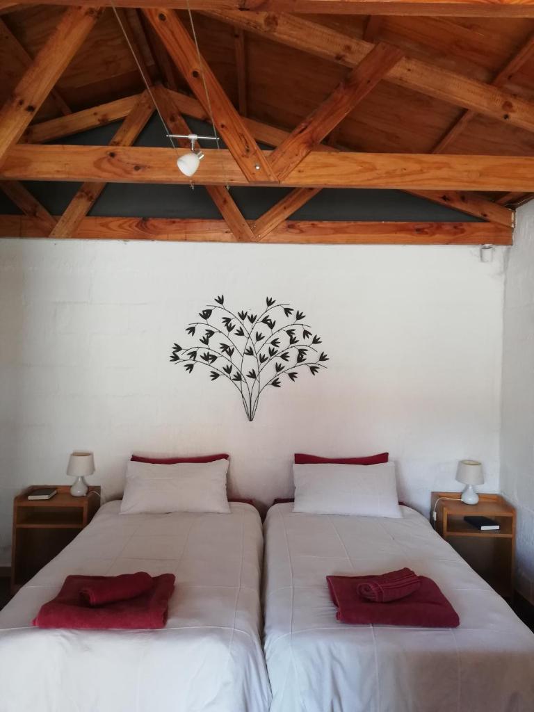 Walvis Bay Backpackers & Self-catering photo 1