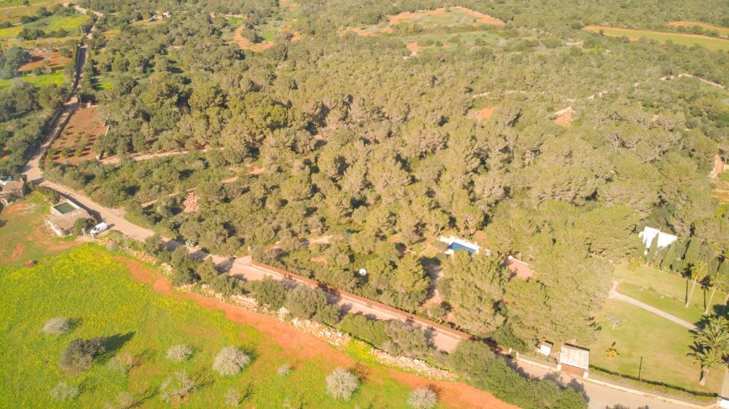 Finca Naveta photo 3