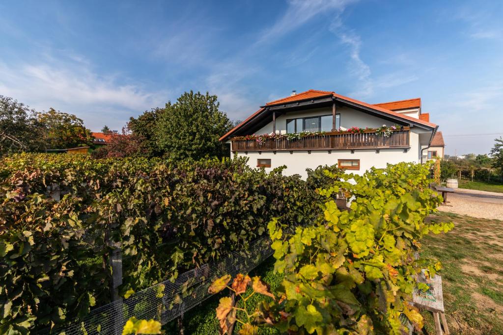 Vinařství Výmola photo 4