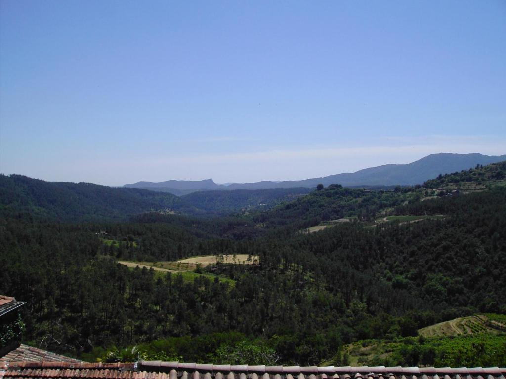 Vivier de Bres photo 2