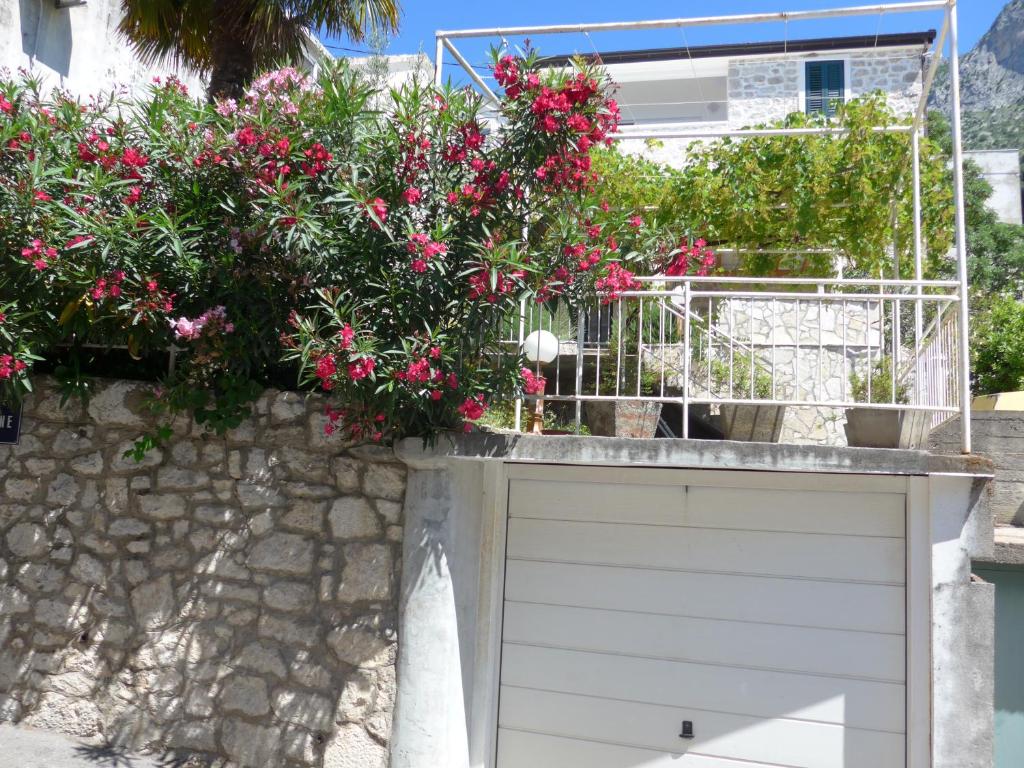Villa Adria photo 3