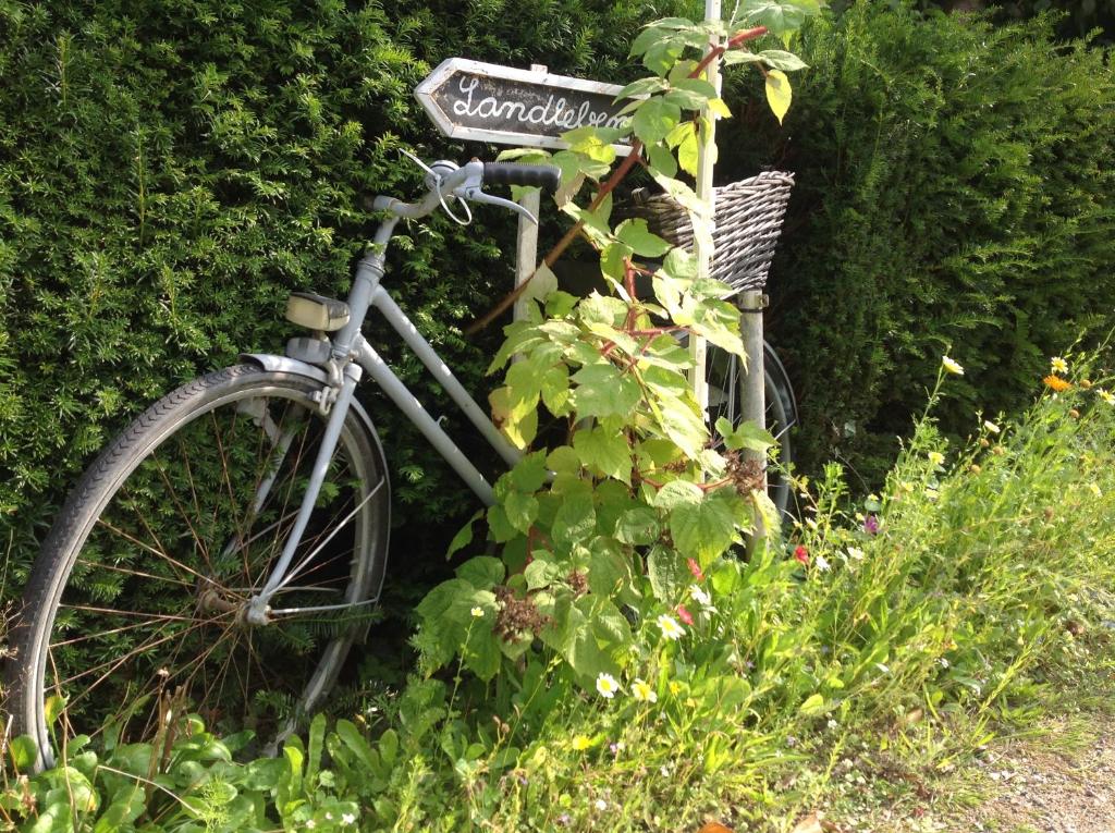 KLEINE LANDLIEBE photo 4