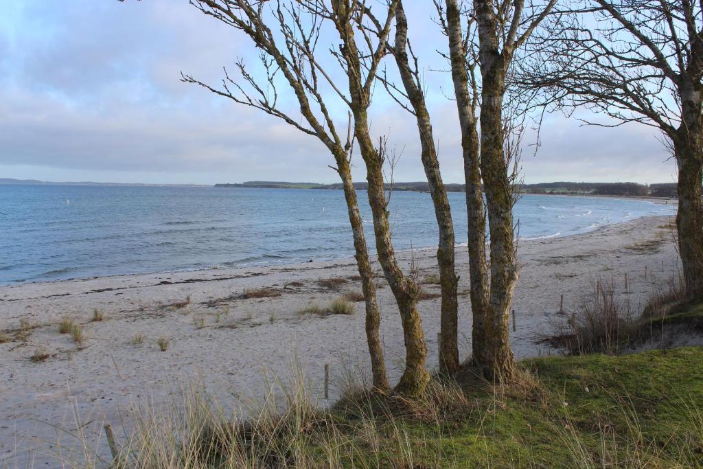 KLEINE LANDLIEBE photo 1