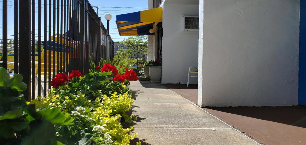 Sea Hawk Motel photo 1