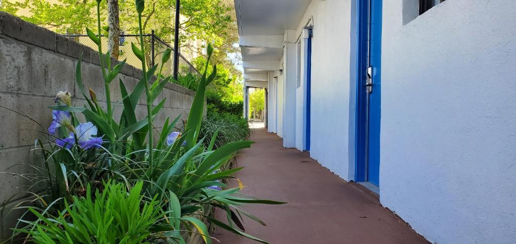 Sea Hawk Motel photo 3