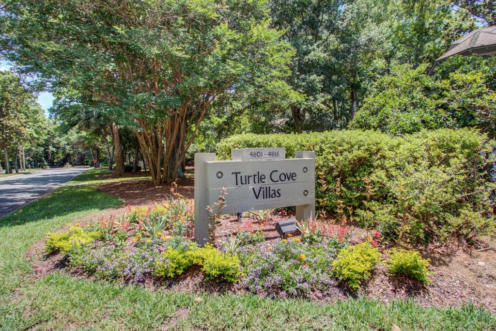 Turtle Cove 4809 photo 3