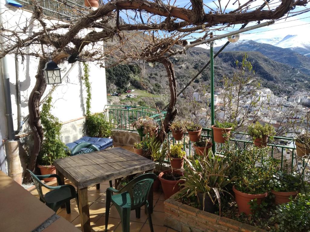 CASA MARIBEL photo 3