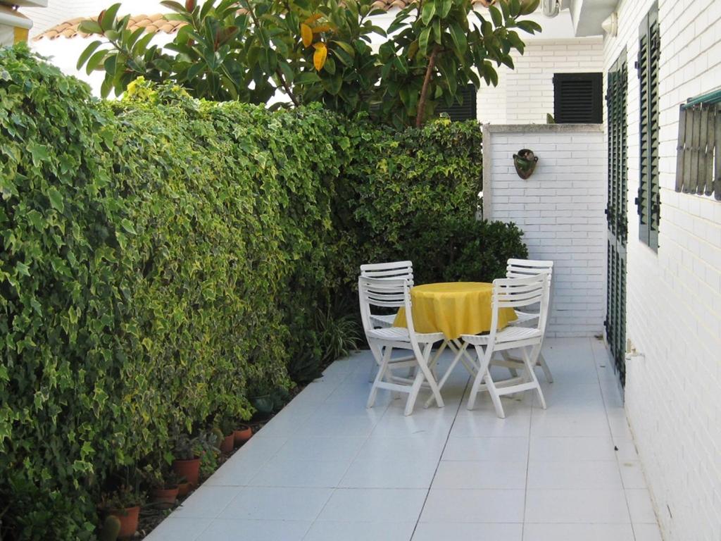 AT048 Gregal photo 4