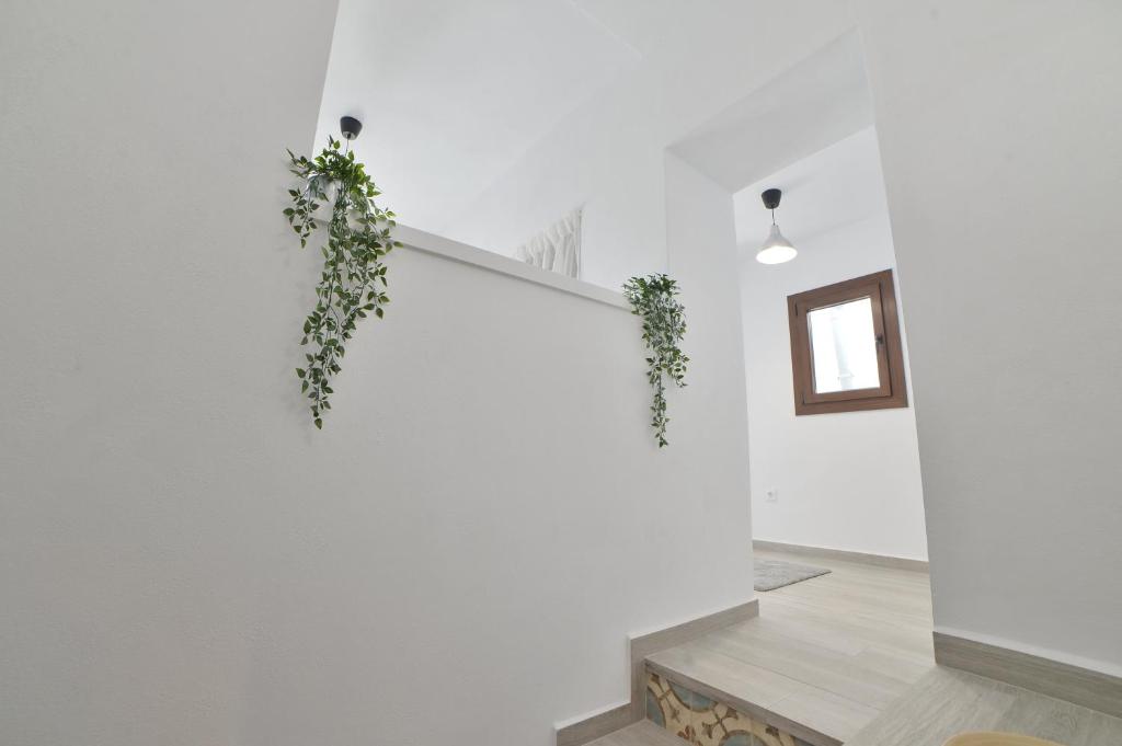 Casa Luminosa, junto al Castillo photo 1